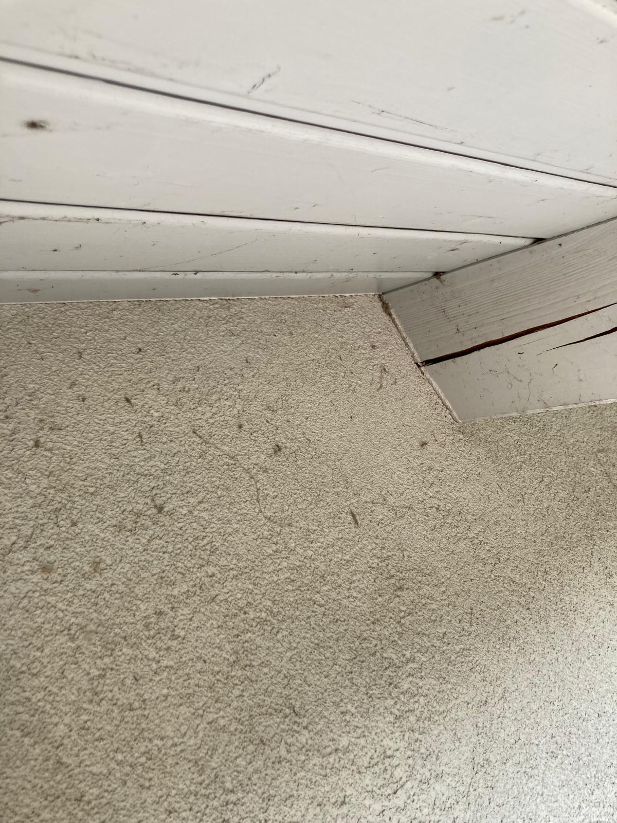 WhatsApp Image 2025-06-24 at 21.00.21 (5)