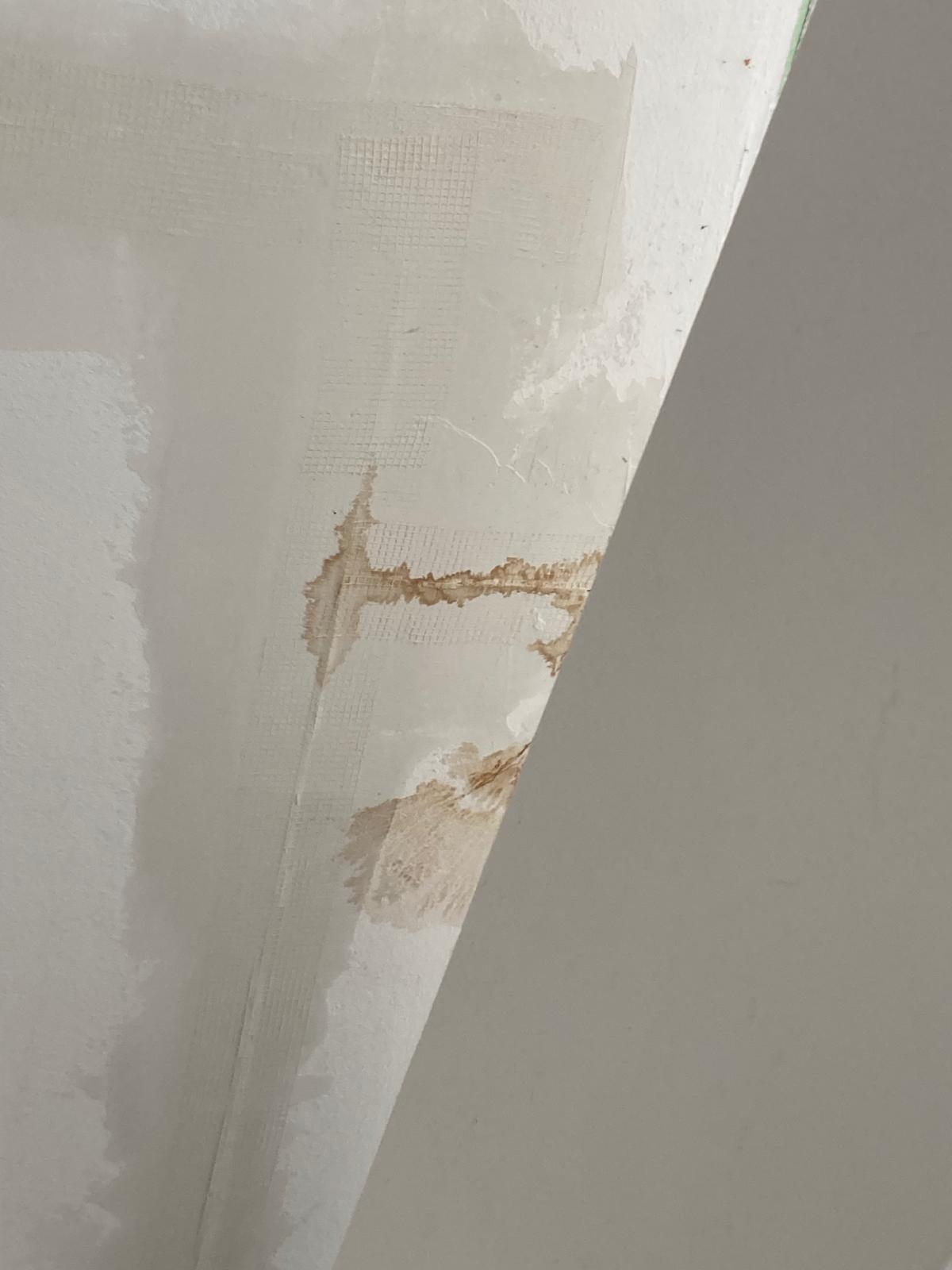 WhatsApp Image 2025-06-24 at 21.03.27 (1)